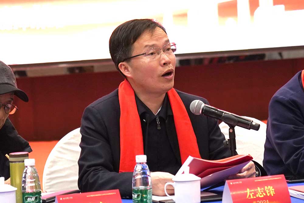 新化县委副书记、新化县人民政府县长左志锋讲话